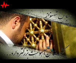 عباس شهنواز ضامن آهو، دانلود آهنگ جدید عباس شهنواز