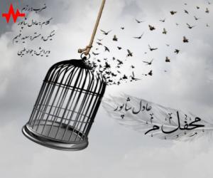 عادل شاپور محفل میم، دانلود آهنگ جدید عادل شاپور