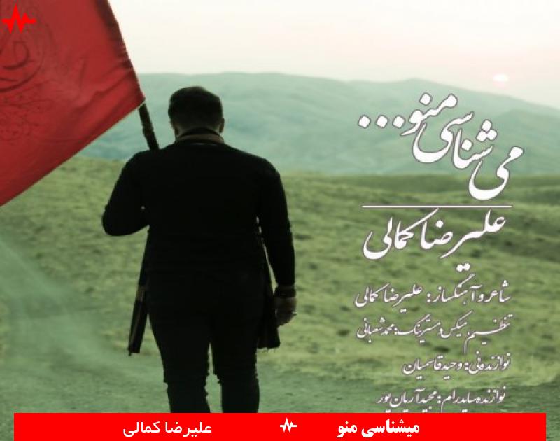 Alireza Kamali