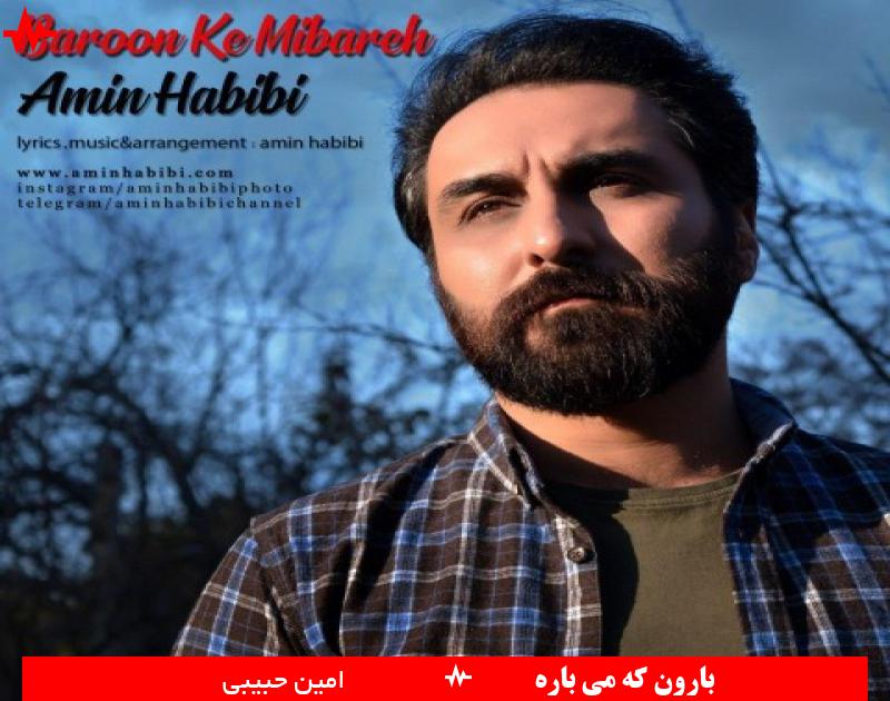 Amin Habibi
