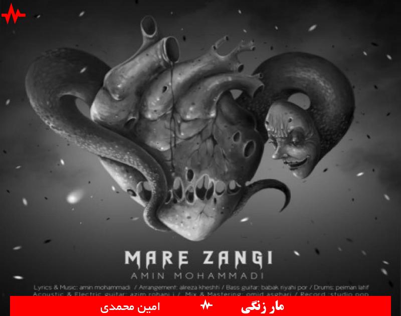 Amin Mohammadi
