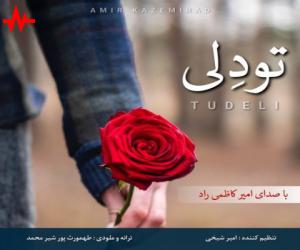 امیر کاظمی راد تو دلی، دانلود آهنگ جدید امیر کاظمی راد