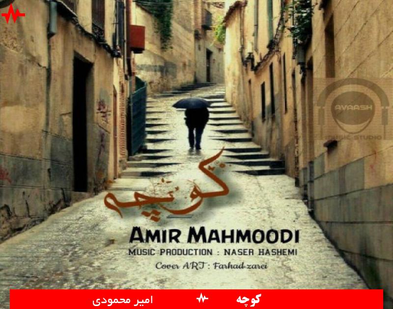 Amir Mahmoodi
