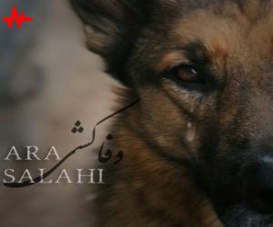 آرا صلاحی وفاکشی، دانلود آهنگ جدید آرا صلاحی