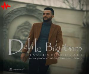 داریوش اشرفی دلیل بی خوابیام، دانلود آهنگ جدید داریوش اشرفی