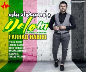 فرهاد حبیبی دلوم‌ میخواد بباره، دانلود آهنگ جدید فرهاد حبیبی
