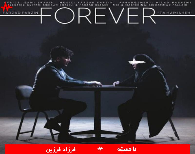 Farzad Farzin