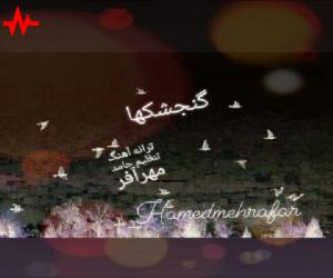 حامد مهرآفر گنجشکها، دانلود آهنگ جدید حامد مهرآفر