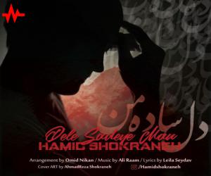 حمید شکرانه دل ساده ی من، دانلود آهنگ جدید حمید شکرانه