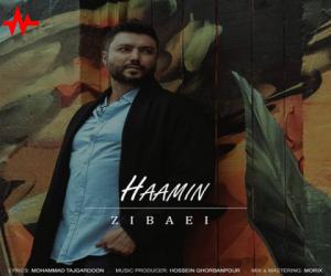 دانلود آهنگ هامین به نام زیبایی