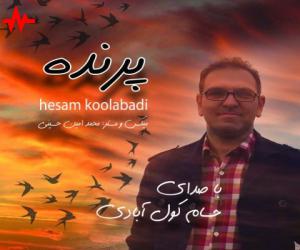 حسام کول آبادی پرنده، دانلود آهنگ جدید حسام کول آبادی