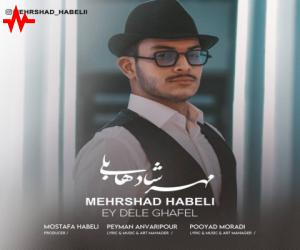 مهرشاد هابلی ای دل غافل، دانلود آهنگ جدید مهرشاد هابلی + متن آهنگ