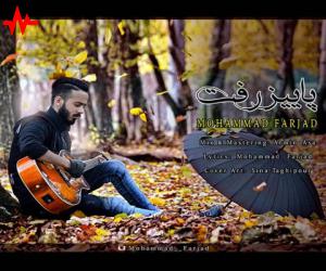 محمد فرجاد پاییز رفت، دانلود آهنگ جدید محمد فرجاد