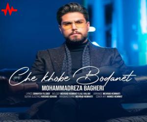 دانلود آهنگ محمدرضا باقری به نام چه خوبه بودنت