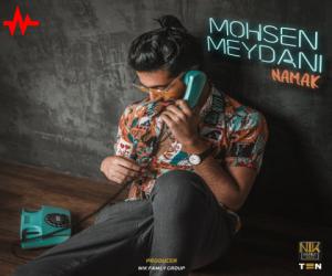 دانلود آهنگ محسن میدانی به نام نمک