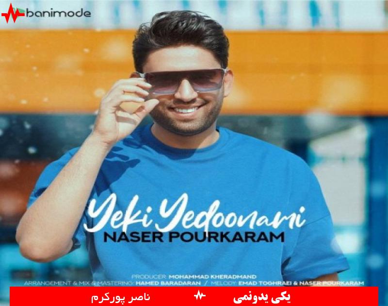 Naser Pourkaram