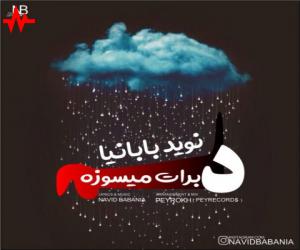 دانلود ریمیکس نوید بابانیا به نام دلم برات میسوزه