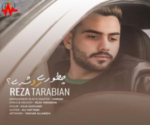 رضا تربیان چطوری رد شدی، دانلود آهنگ جدید رضا تربیان