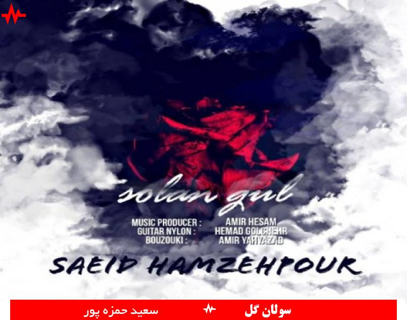 Saeed Hamzepour