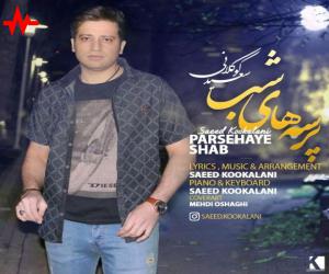 سعید کوکلانی پرسه های شب، دانلود آهنگ جدید سعید کوکلانی