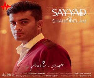صیاد شاه دلم، دانلود آهنگ جدید صیاد