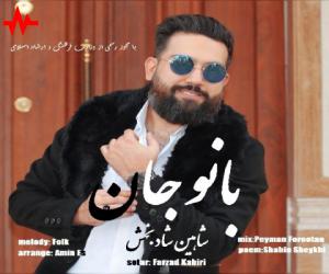 دانلود آهنگ شاهین شادبخش به نام بانو جان