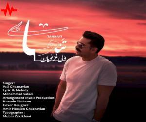 ولی غزنویان تنهایی، دانلود آهنگ جدید ولی غزنویان + متن آهنگ