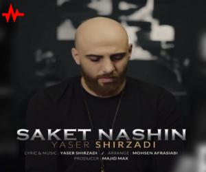 دانلود آهنگ یاسر شیرزادی به نام ساکت نشین