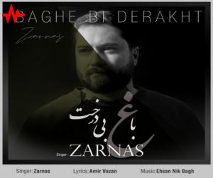 دانلود آهنگ زرناس به نام باغ بی درخت