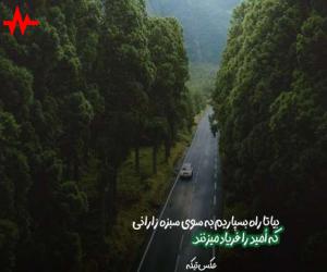 آهنگ  ریمیکس رپ داملا آریجان و مهدیار و شایع و پیشرو و امیر تتلو نسخ از Damla Arican & Mahdyar X Shayea X Pishro X Amir Tataloo همراه با متن ترانه