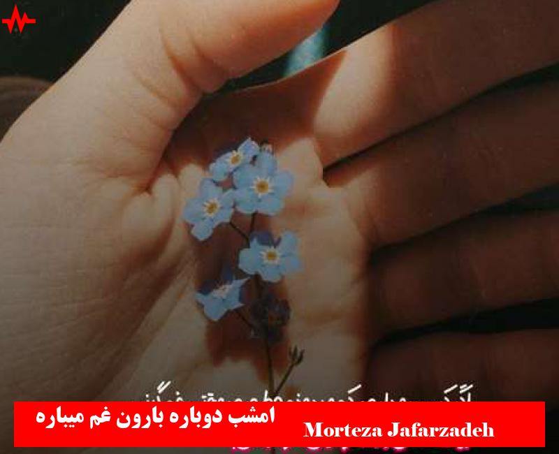 Morteza Jafarzadeh