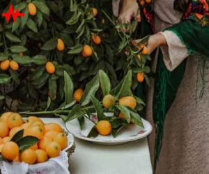 آهنگ In Hame Ashofte Hali از Shakila همراه با متن ترانه