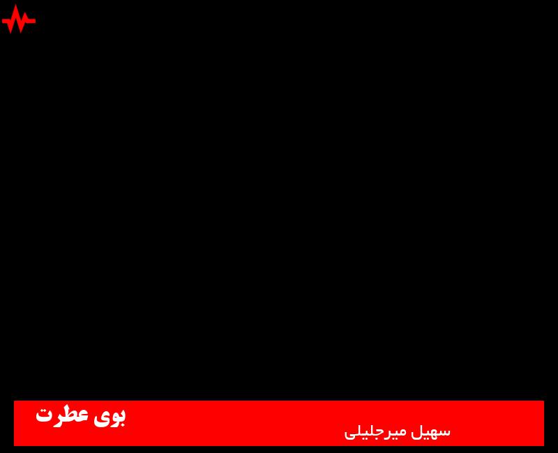 Soheil Mirjalili